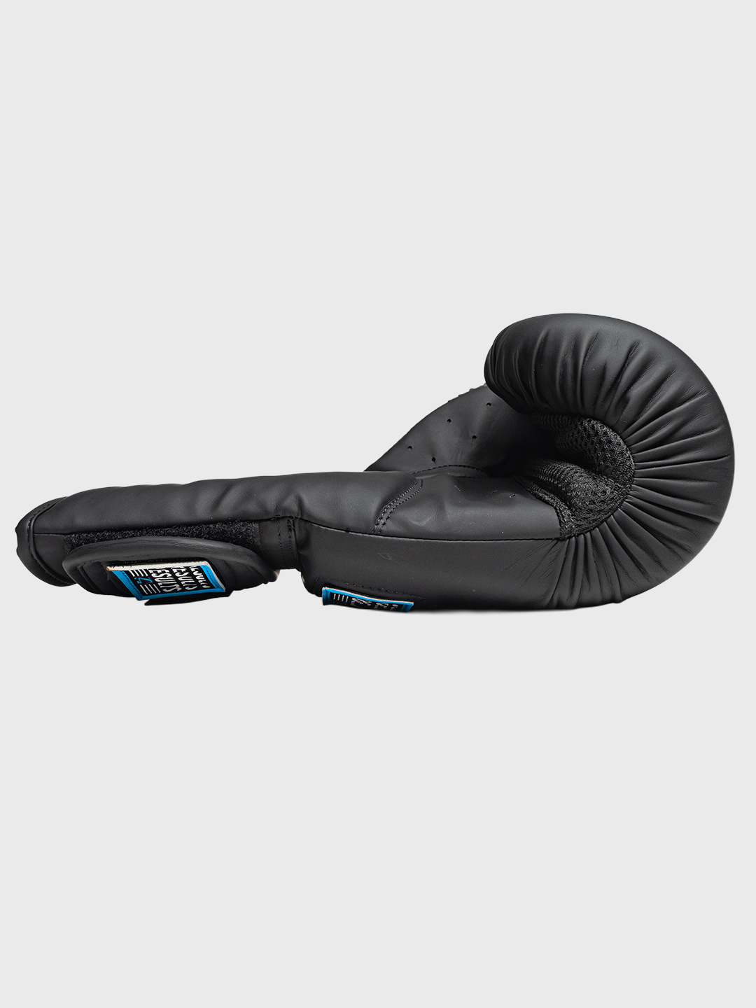 Legends Boxing Patch Starter Gloves Mati International