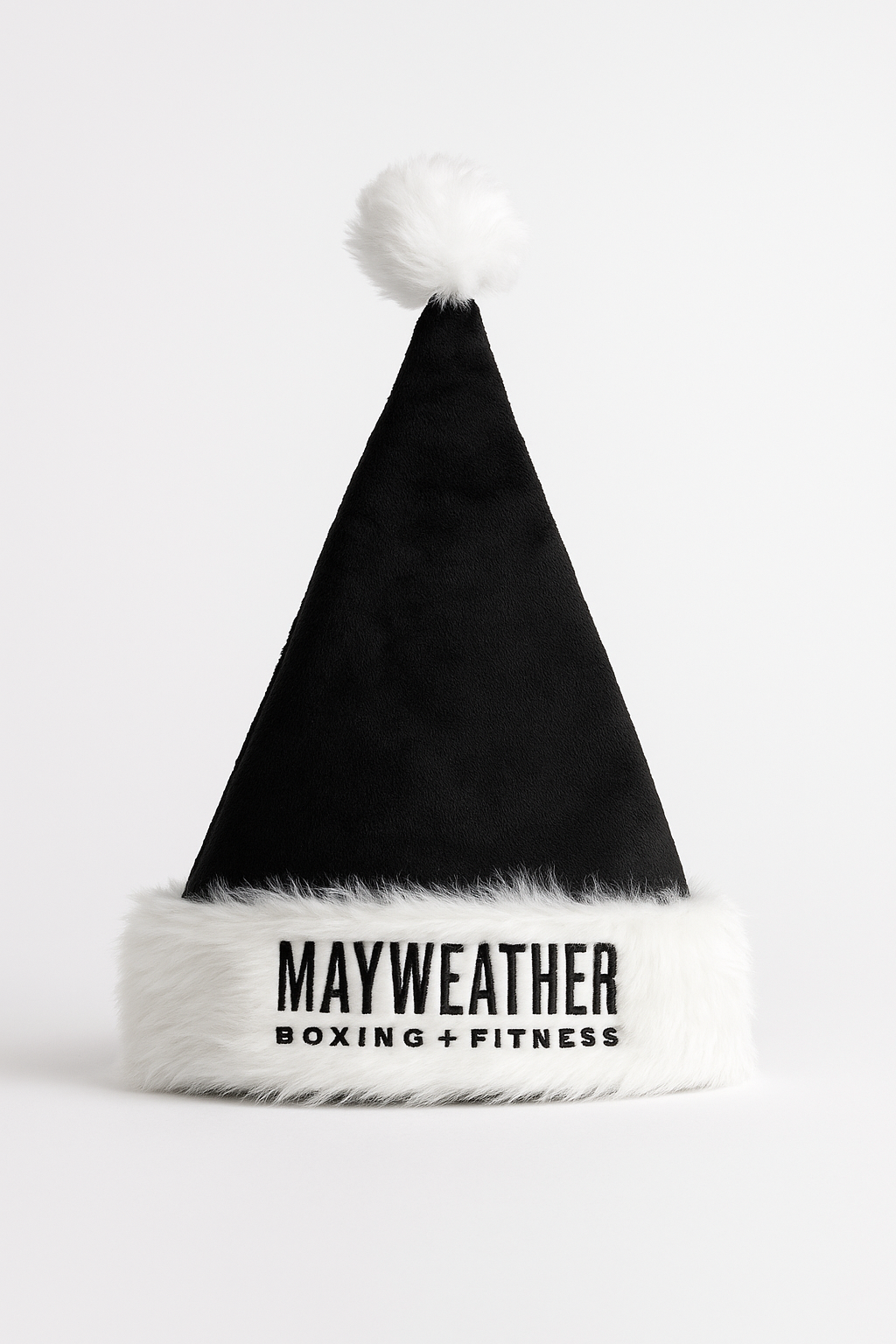 Holiday Santa Hat