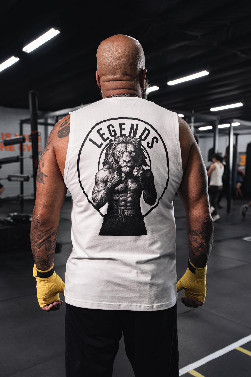 Apex 2.0 Legends Boxing Wholesale