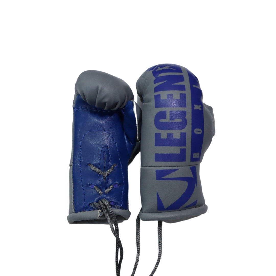 Legends Mini Boxing Gloves Mati International
