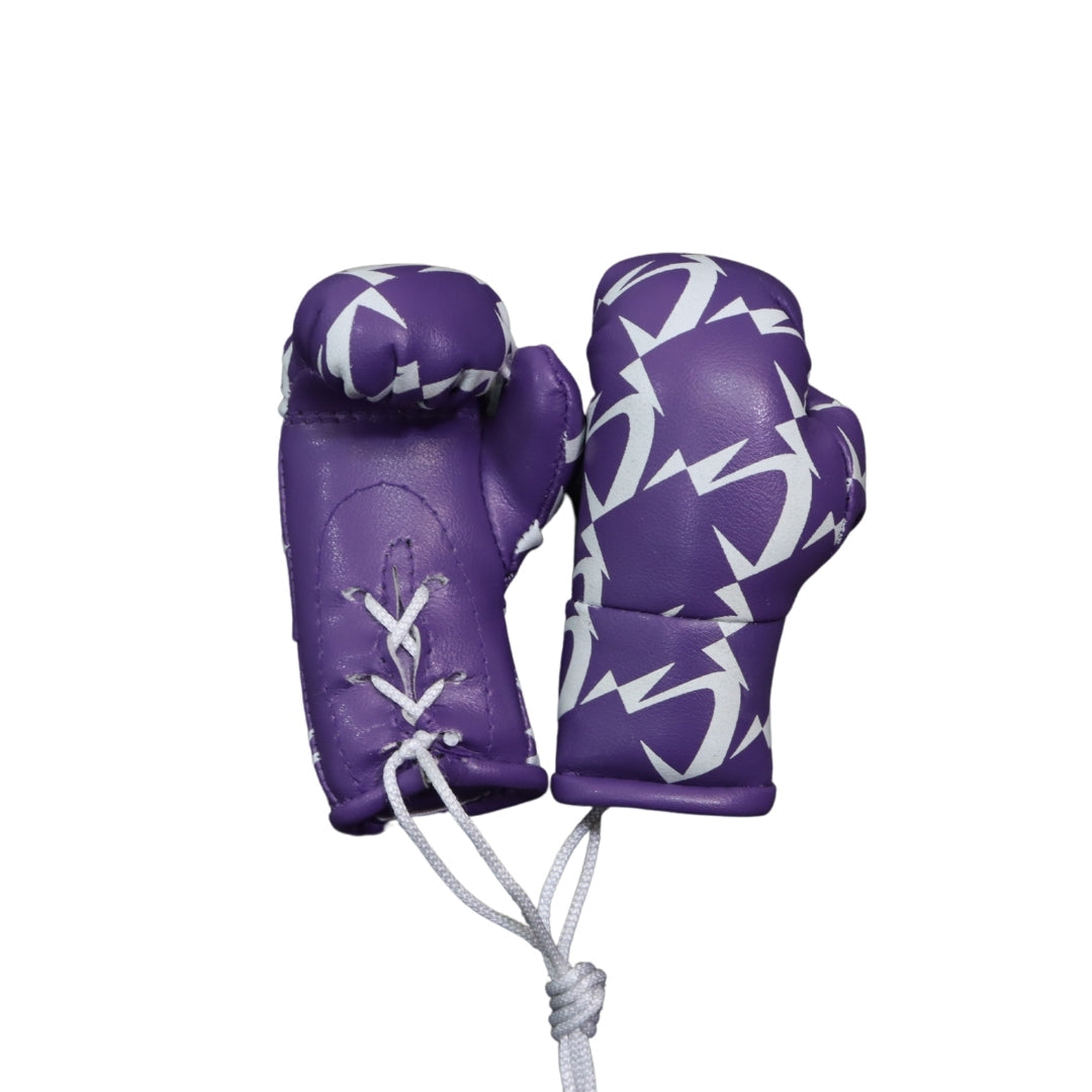 Legends Mini Boxing Gloves Mati International