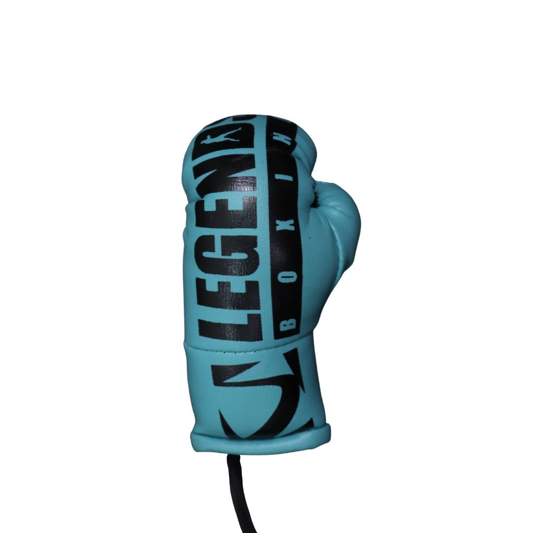 Legends Mini Boxing Gloves Mati International
