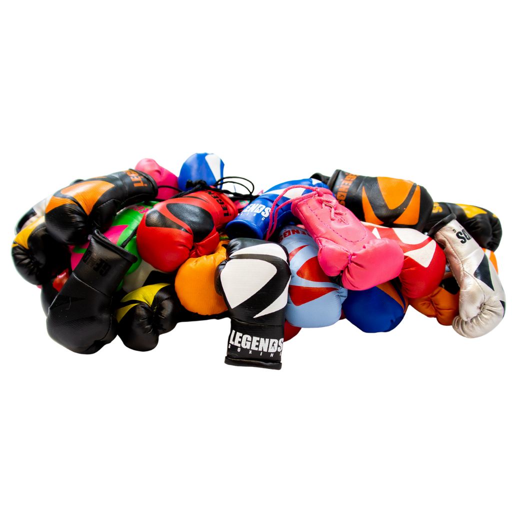 Legends Mini Boxing Gloves Mati International
